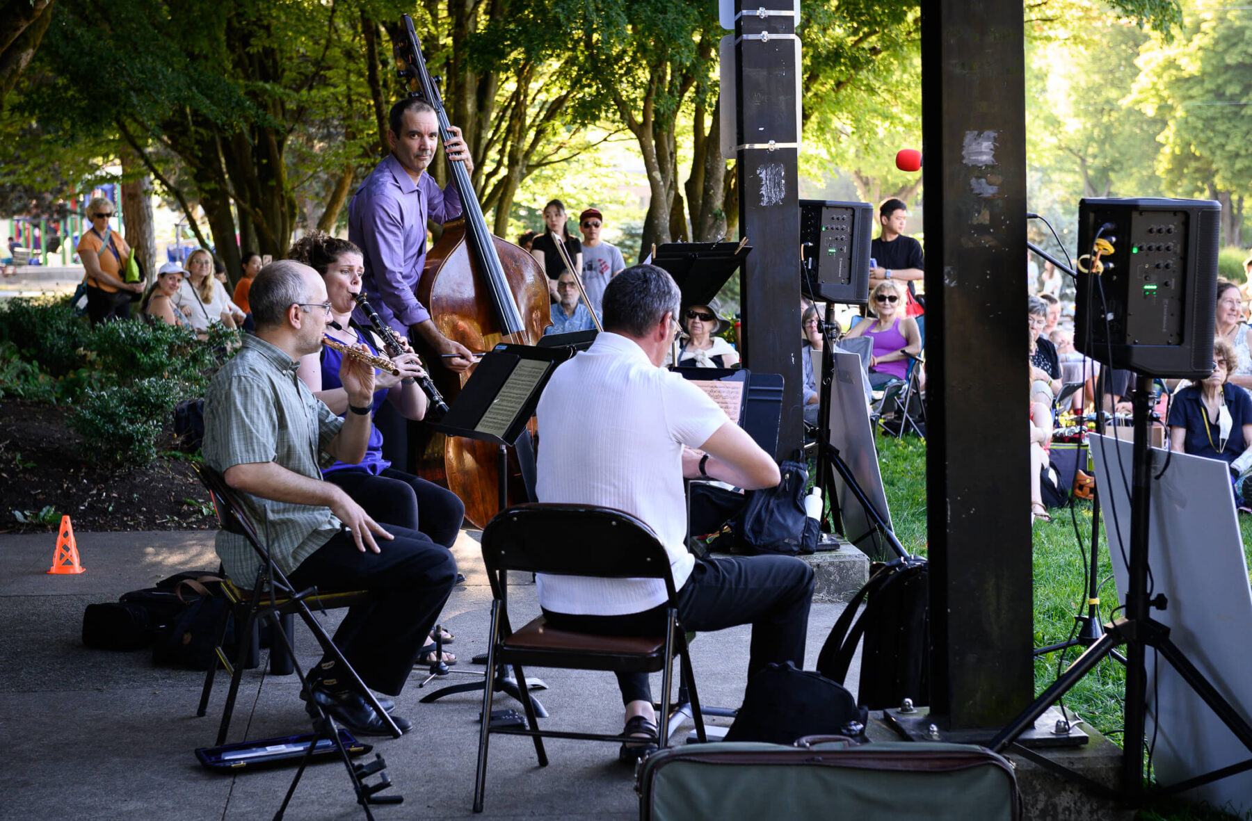 Marko-Paolo Quartet performing in the park