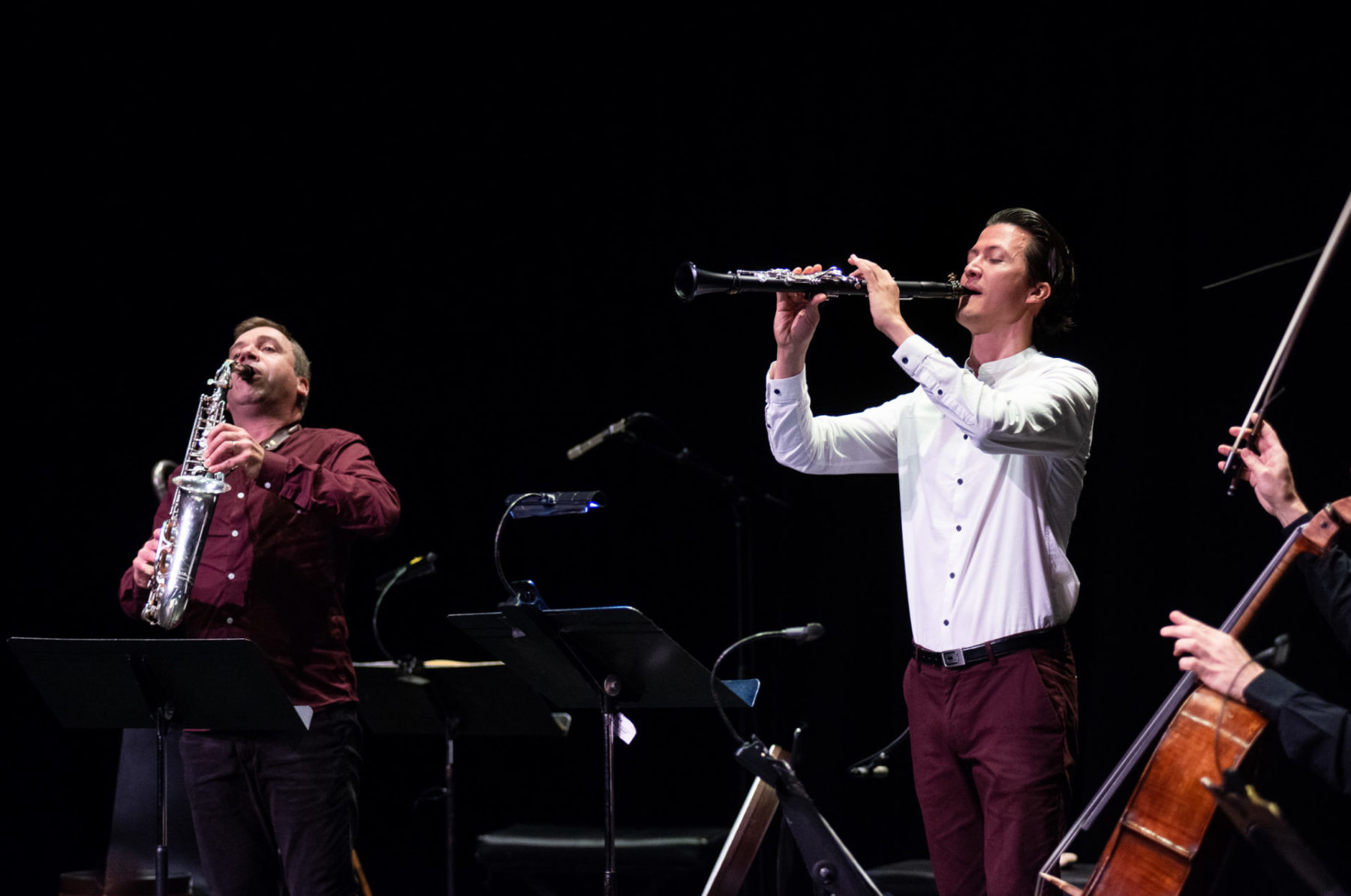 Ensemble Variances, Walking in Beauty: a concert-ritual, Modulus Festival 2018