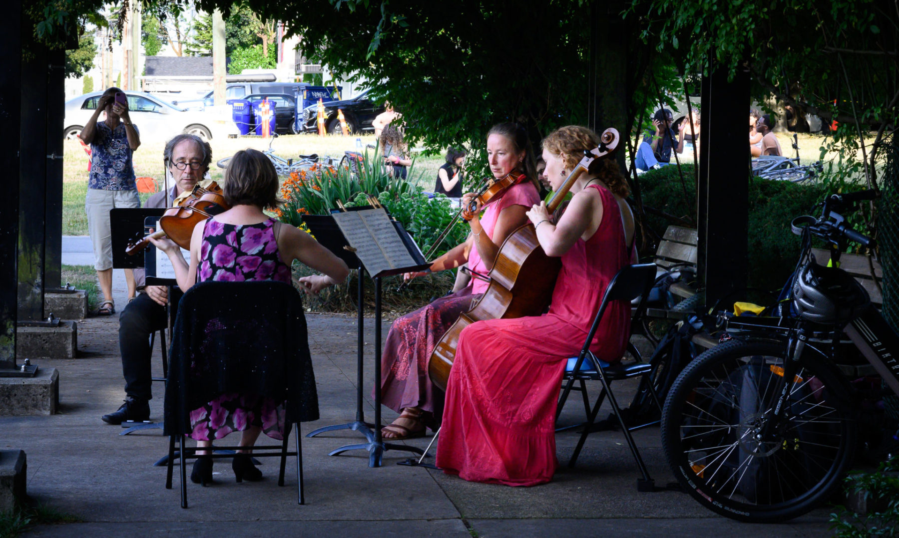 Microcosmos Quartet playing in Mount Pleasant Park