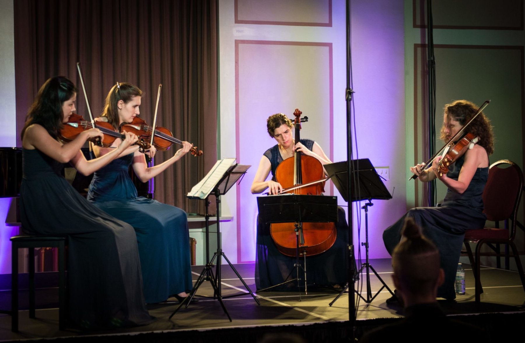 Cecilia Quartet at Modulus 2014