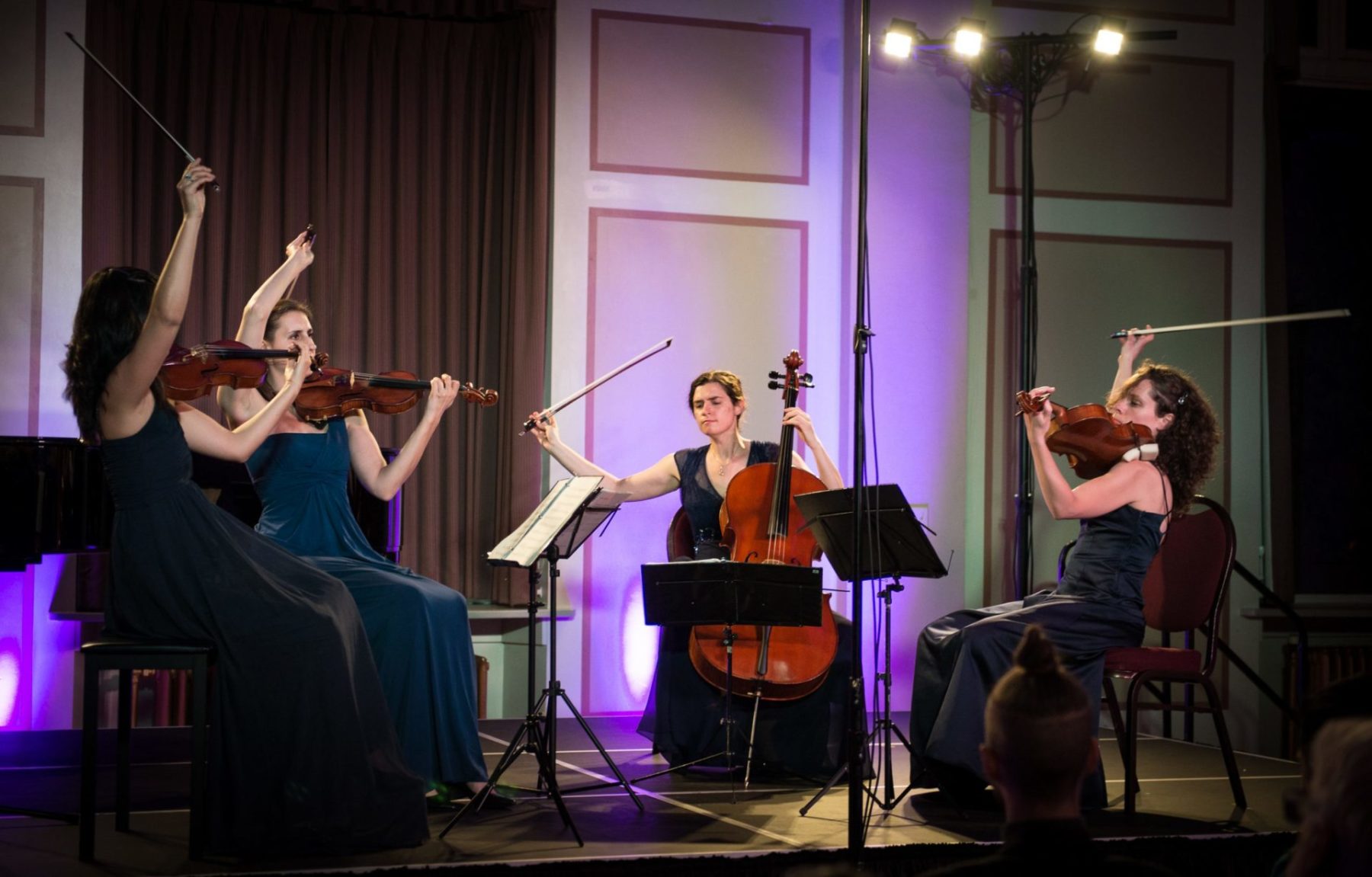 Cecilia Quartet at Modulus 2014